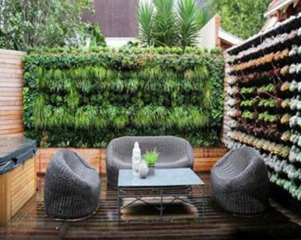 نکاتی پیرامون انتخاب گیاهان در طراحی و اجرای دیوار سبز یا گرین وال (1)