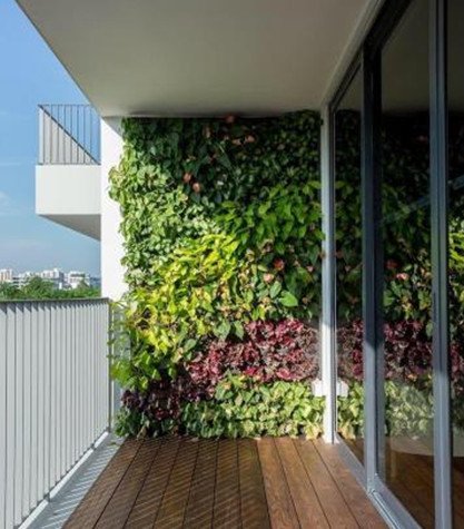 نکاتی پیرامون انتخاب گیاهان در طراحی و اجرای دیوار سبز یا گرین وال (12)