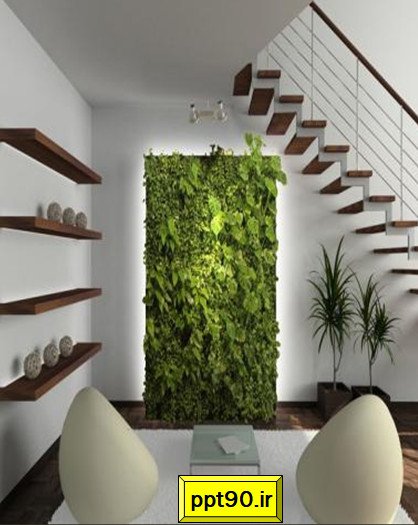 نکاتی پیرامون انتخاب گیاهان در طراحی و اجرای دیوار سبز یا گرین وال (5)