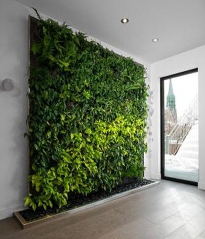 نکاتی پیرامون انتخاب گیاهان در طراحی و اجرای دیوار سبز یا گرین وال (6)