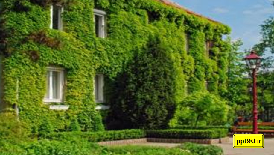 نکاتی پیرامون انتخاب گیاهان در طراحی و اجرای دیوار سبز یا گرین وال (7)